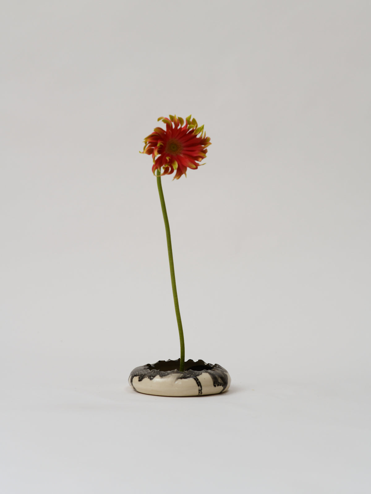Torn Plate Vase