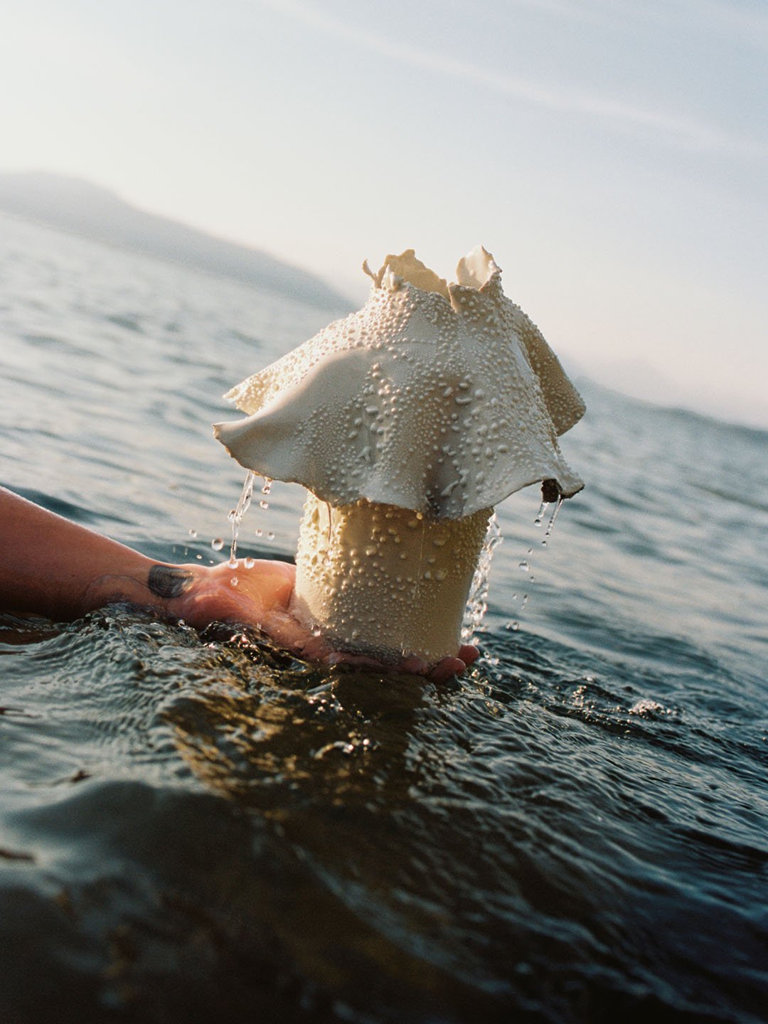 Barnacle Vase