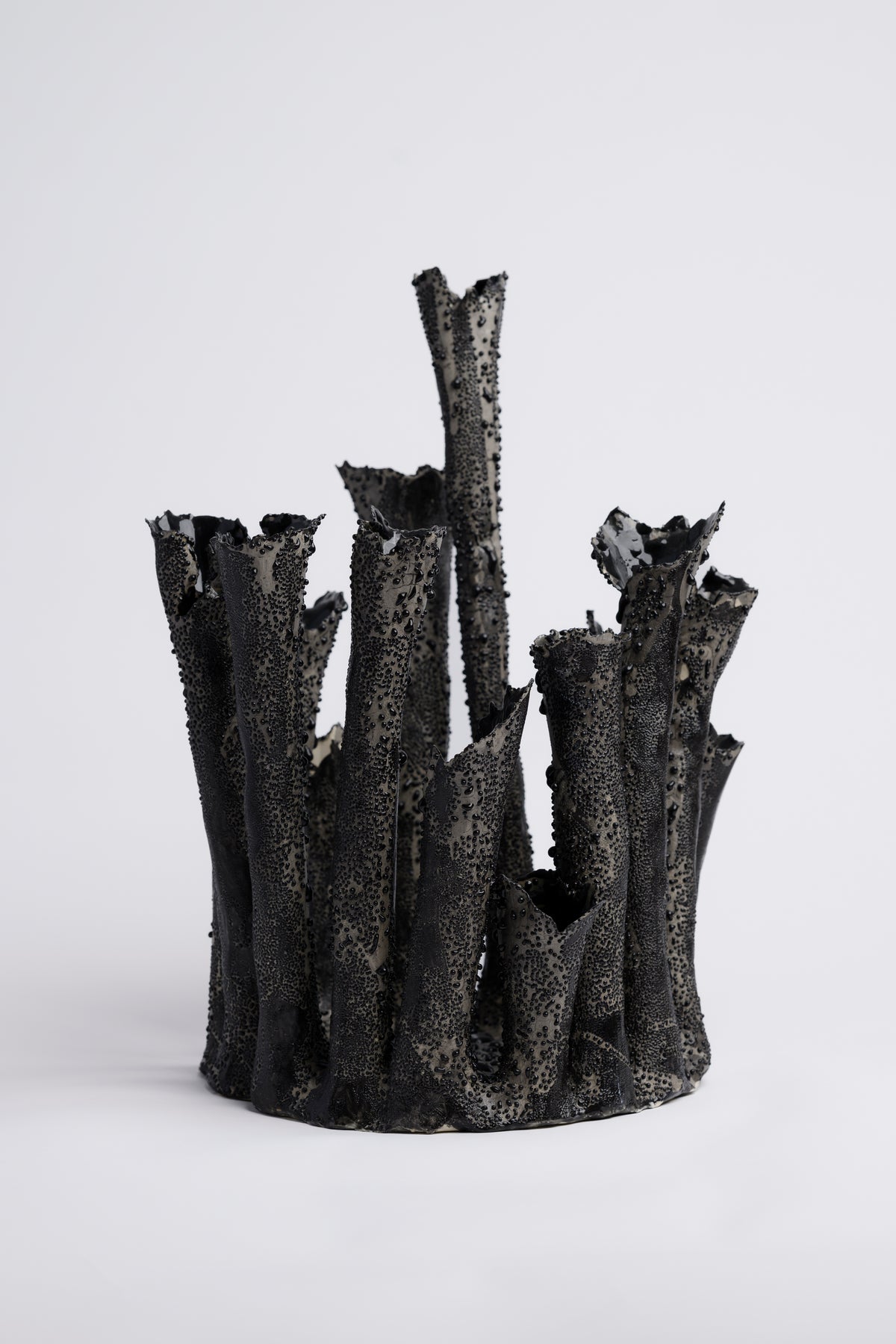 Coral Crown