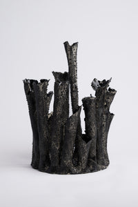 Coral Crown