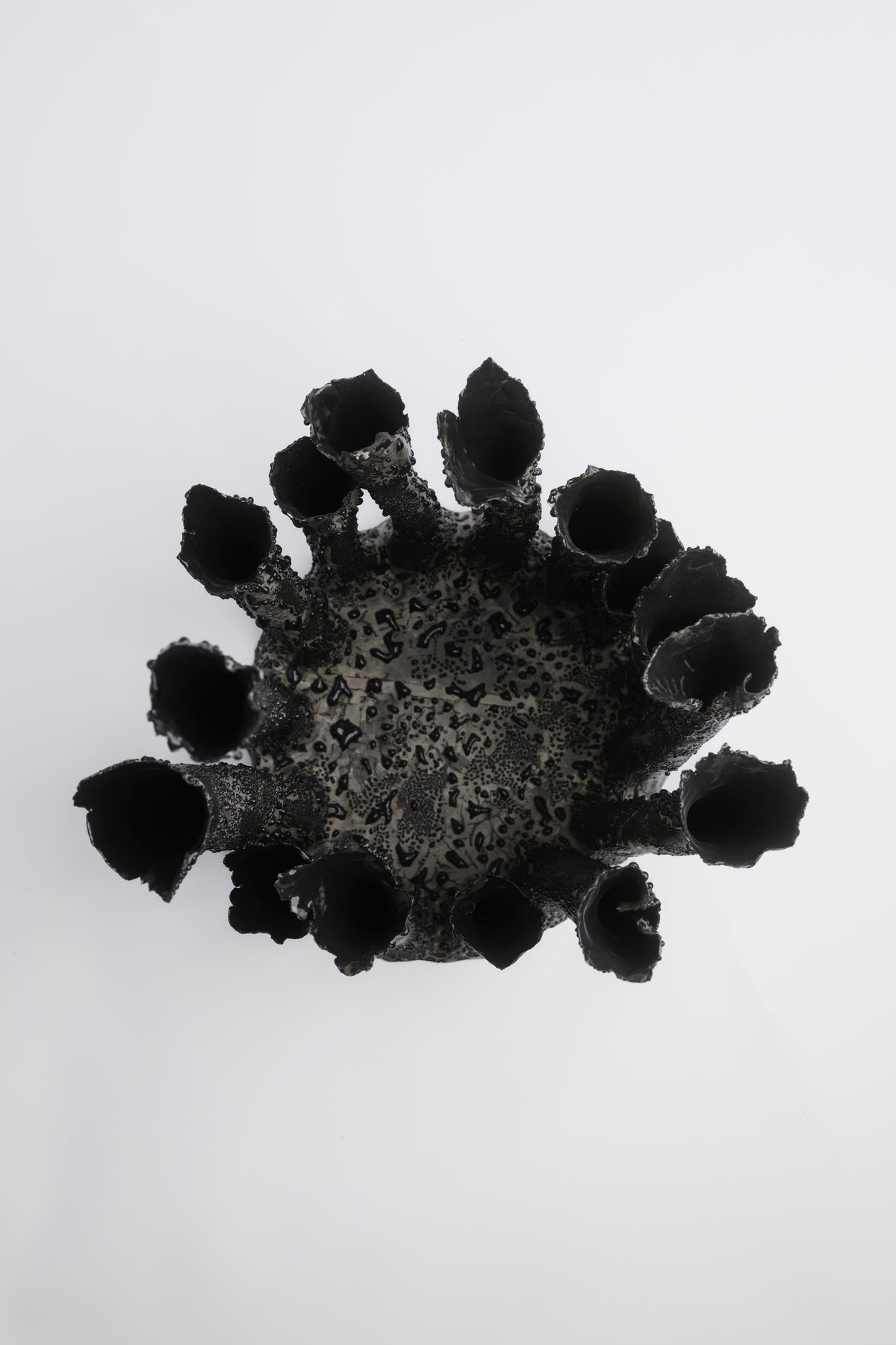 Coral Crown