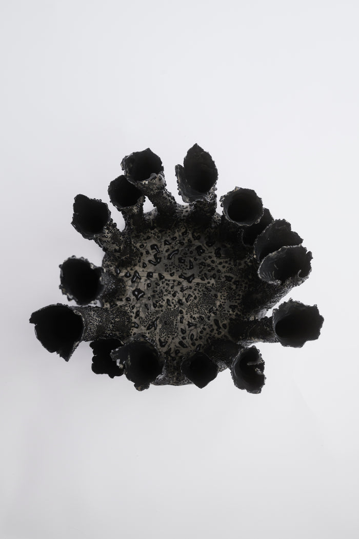 Coral Crown