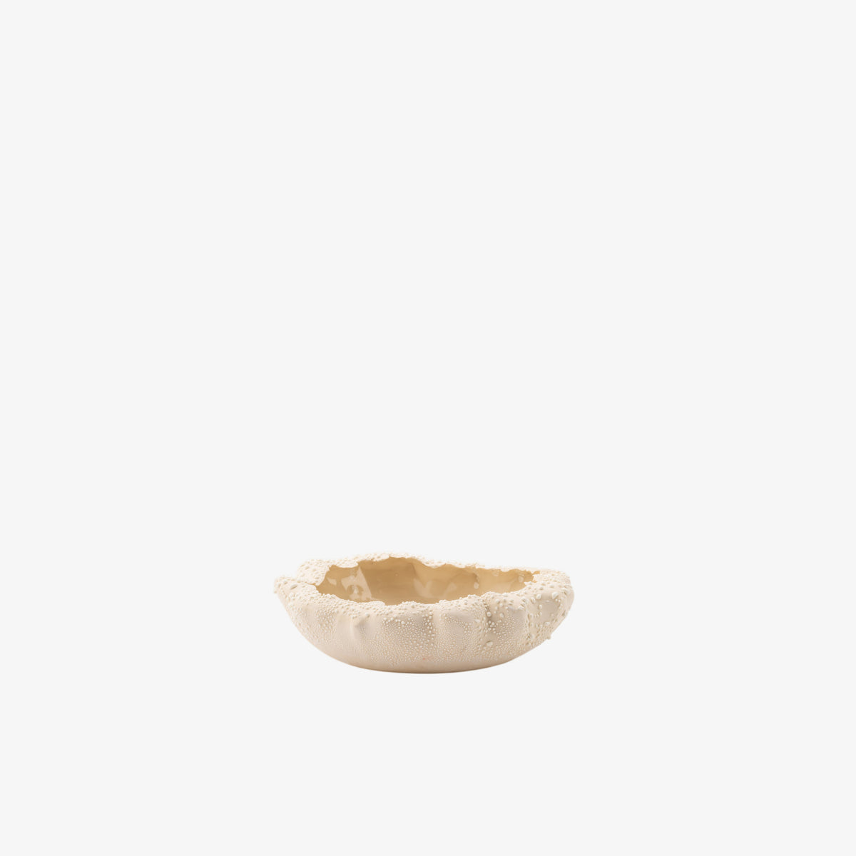 Urchin Bowl