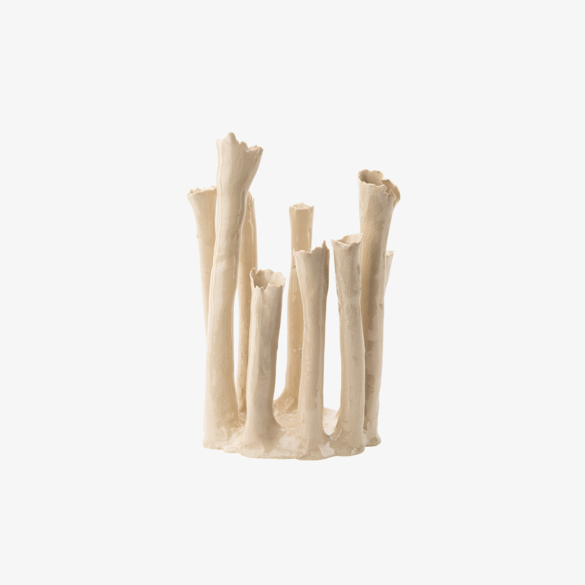 Coral Crown
