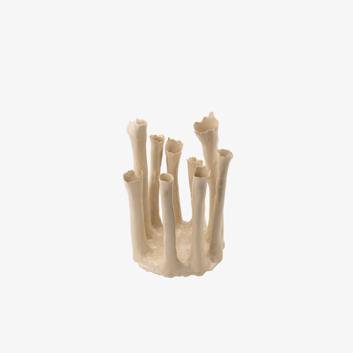 Coral Crown